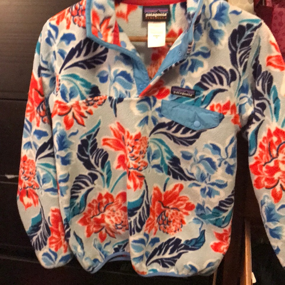 Patagonia Synchilla Snap T Pullover